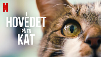 I hovedet på en kat (2022)